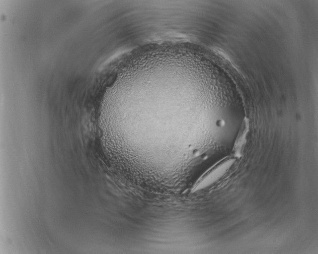 X0000069841063200606021356