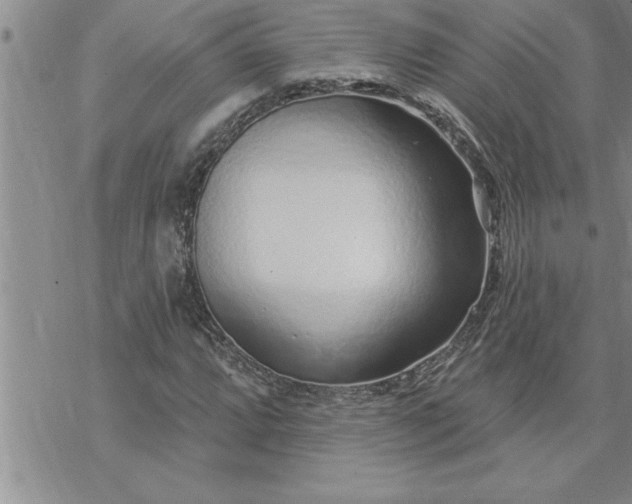 X0000069841064200606021356