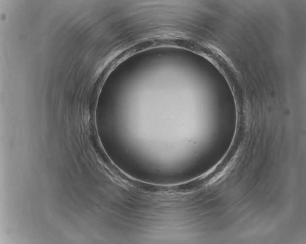 X0000069841065200606021356