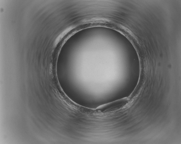 X0000069841066200606021356