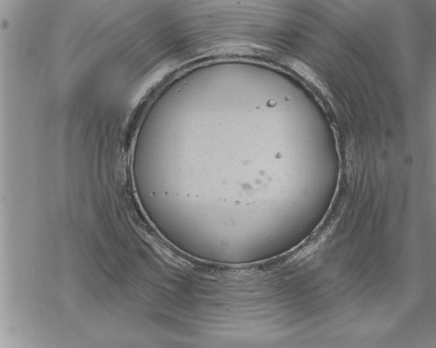 X0000069841067200606021356