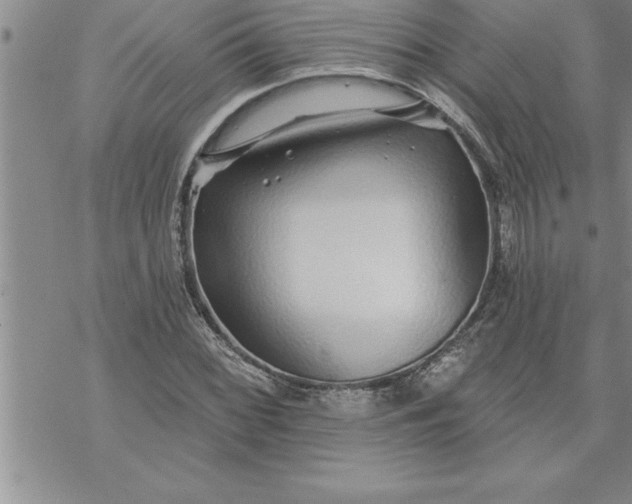 X0000069841068200606021356