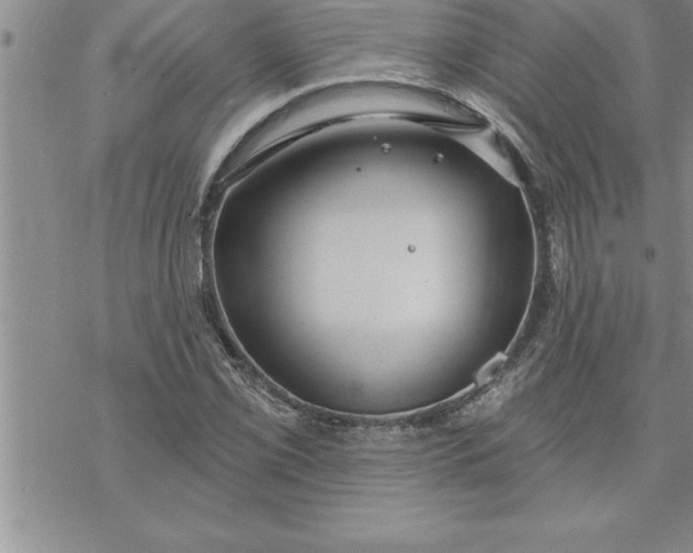 X0000069841069200606021356