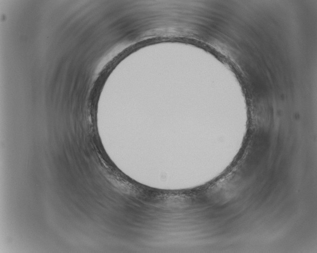 X0000069841070200606021355