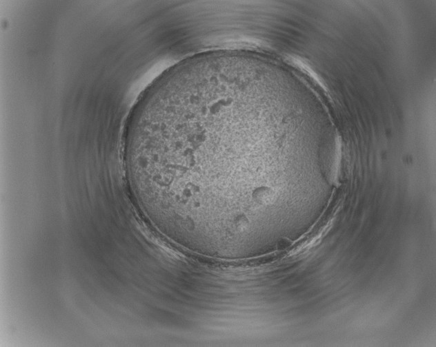 X0000069841071200606021355