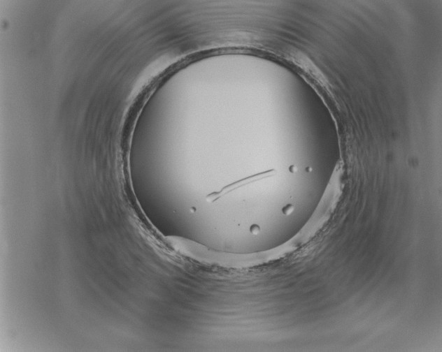 X0000069841072200606021355