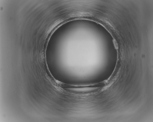 X0000069841073200606021355