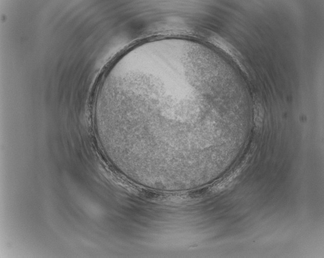 X0000069841074200606021355