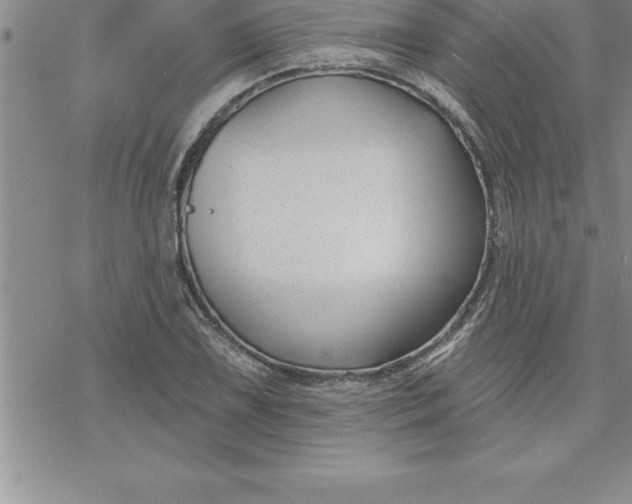 X0000069841075200606021355