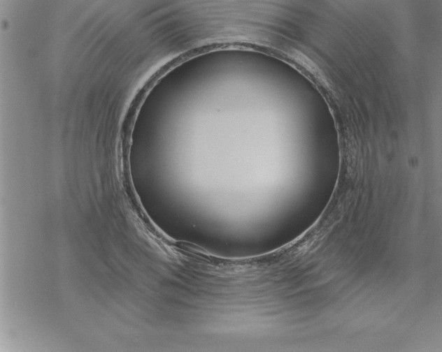 X0000069841076200606021355