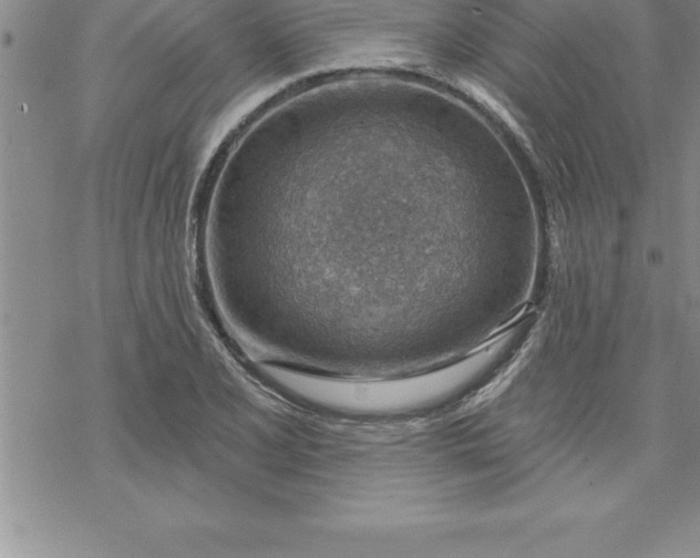 X0000069841077200606021355