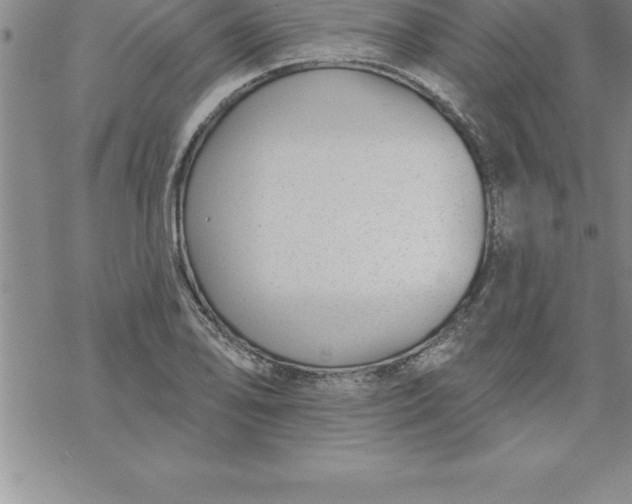 X0000069841078200606021355