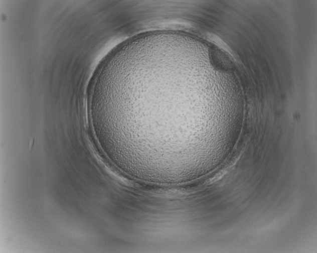 X0000069841079200606021355