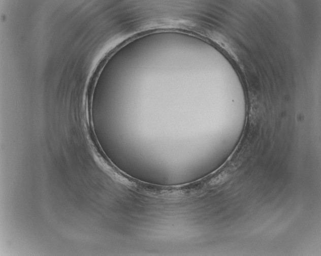 X0000069841080200606021355