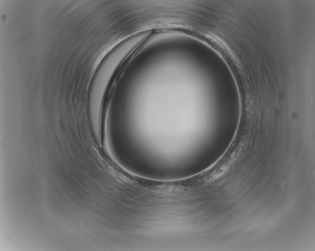 X0000069841081200606021355