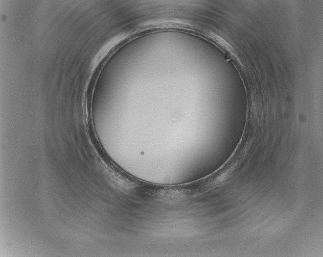 X0000069841082200606021355