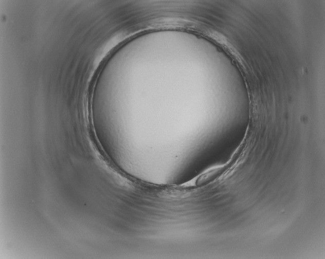 X0000069841083200606021355