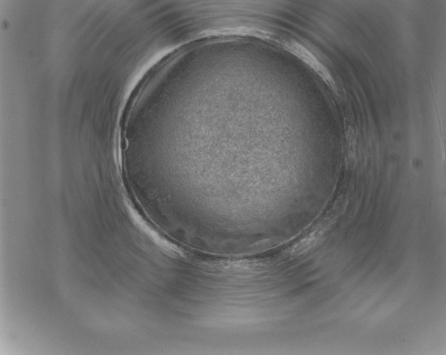 X0000069841084200606021355