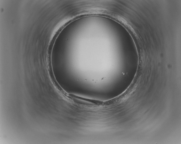 X0000069841085200606021355