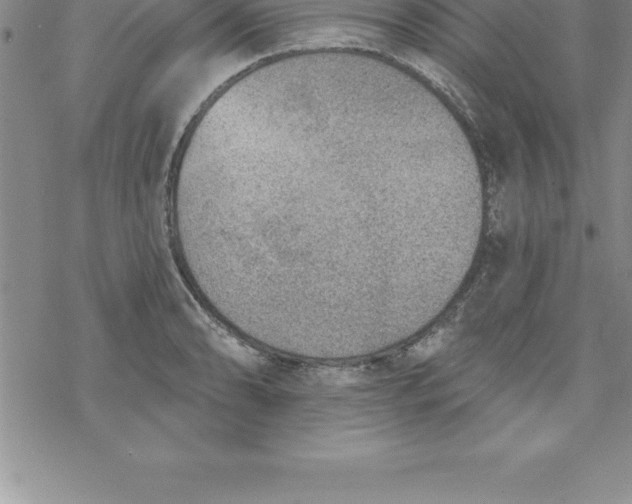 X0000069841086200606021355