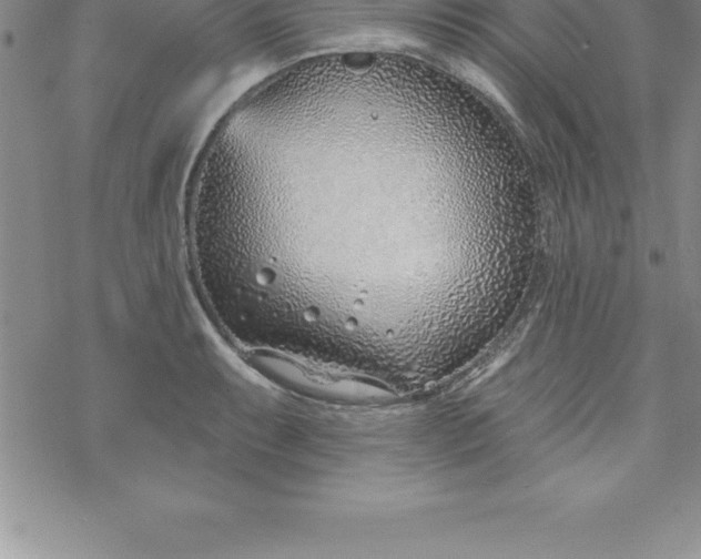 X0000069841087200606021355