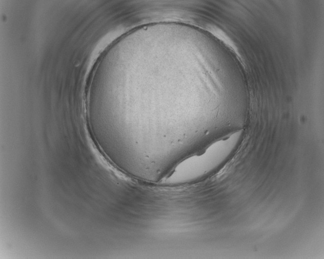 X0000069841088200606021355