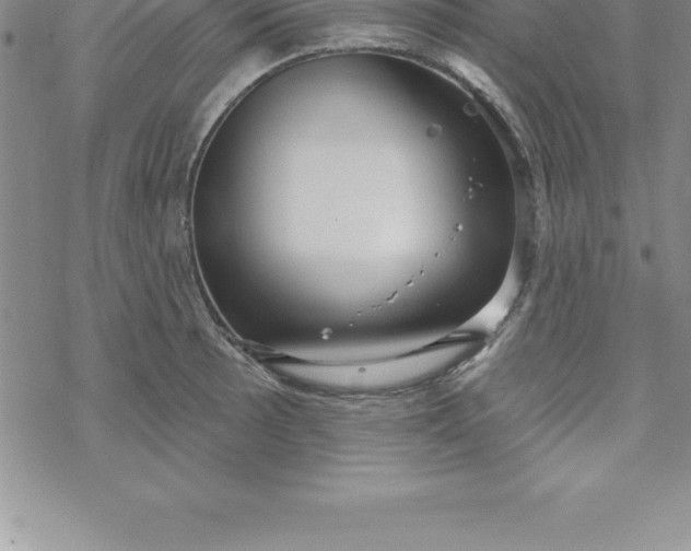 X0000069841089200606021355