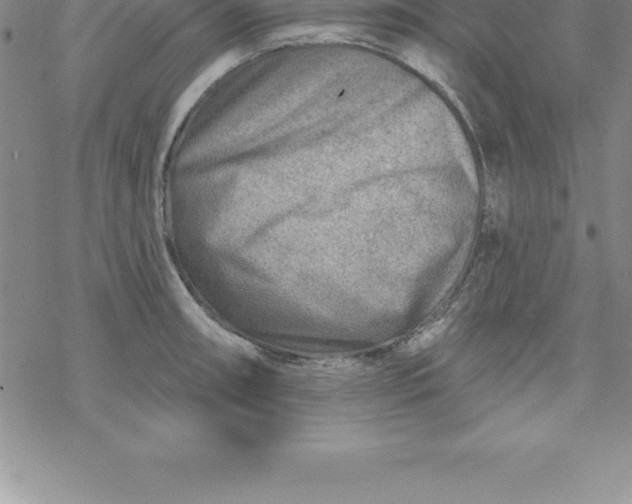 X0000069841090200606021355