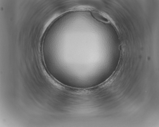 X0000069841091200606021355