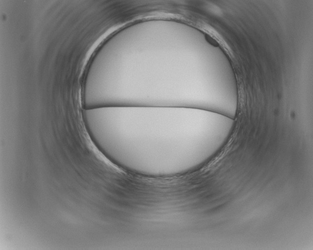 X0000069841092200606021355