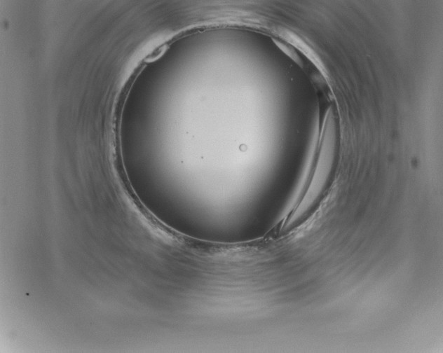 X0000069841093200606021355