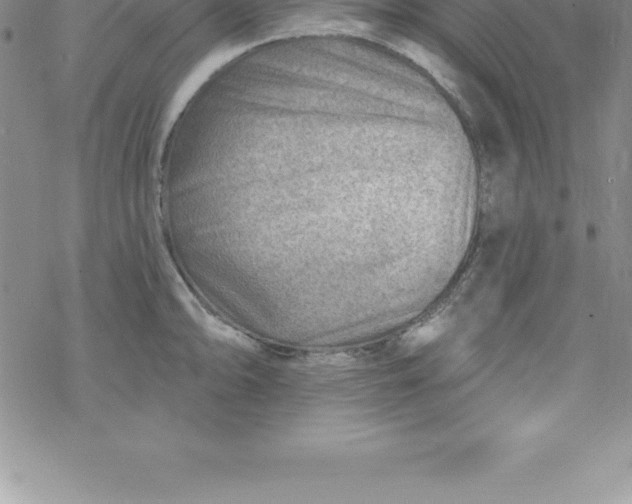 X0000069841094200606021355