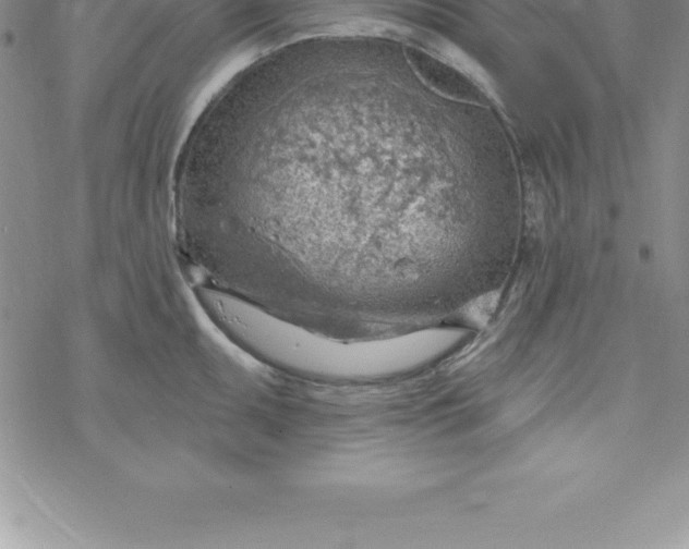 X0000069841095200606021355