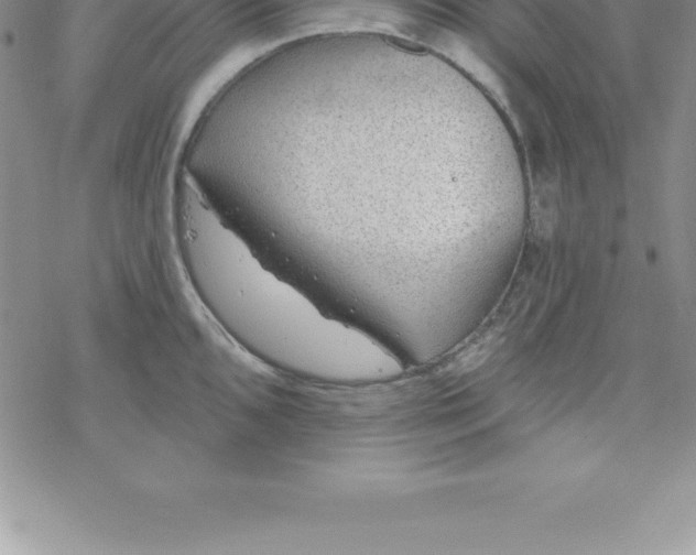 X0000069841096200606021355