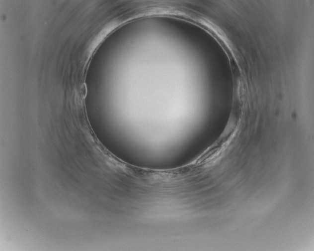 X0000069841097200606021355