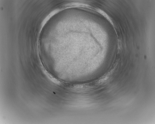 X0000069841098200606021355