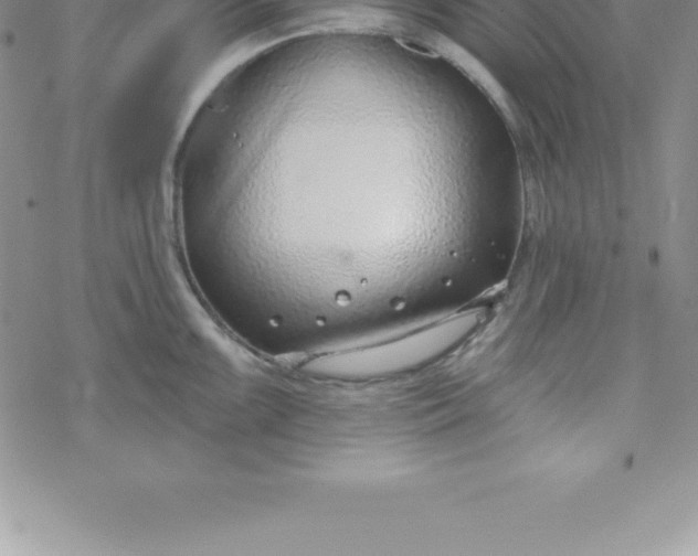 X0000069841099200606021355