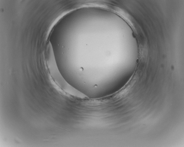 X0000069841100200606021355