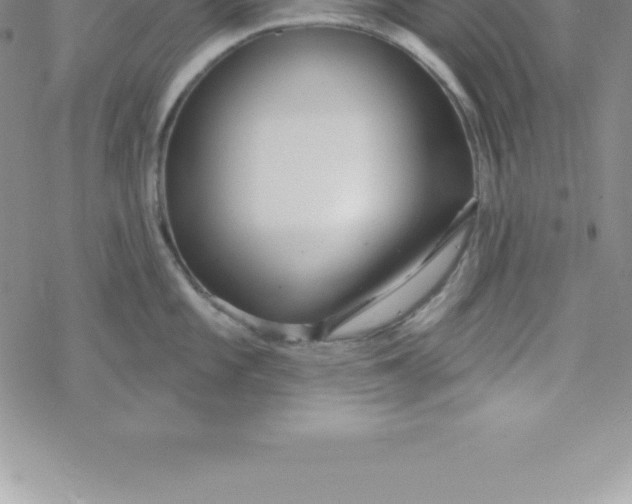 X0000069841101200606021355