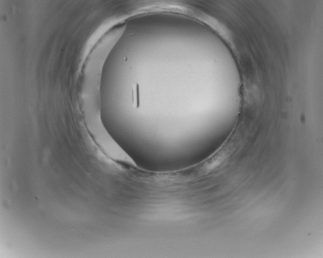 X0000069841102200606021355