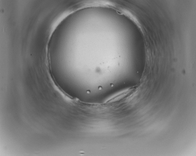 X0000069841103200606021355