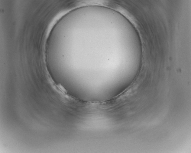 X0000069841104200606021355