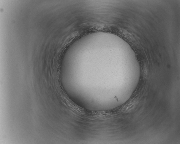 X0000069841105200606021354