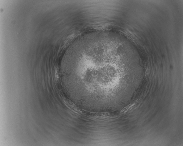 X0000069841106200606021354