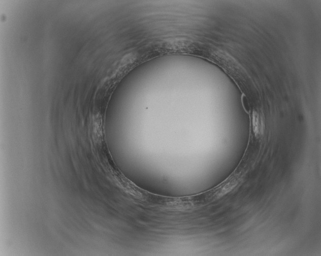 X0000069841107200606021354