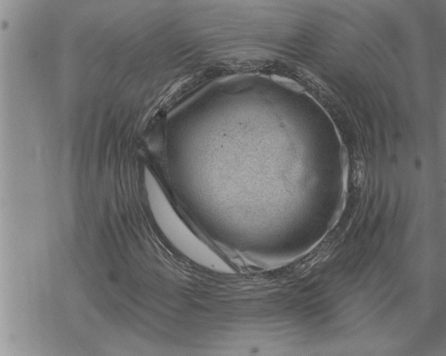 X0000069841108200606021354