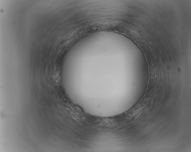 X0000069841109200606021354