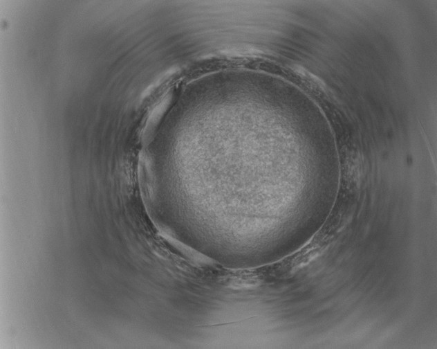 X0000069841110200606021354