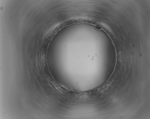 X0000069841111200606021354