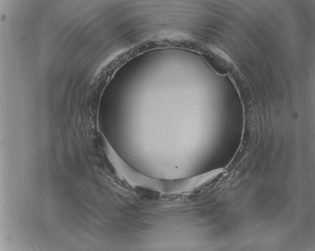 X0000069841112200606021354